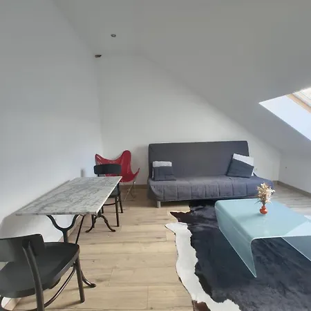 Cosy Mansarde Gare 1km Animaux Acceptes Dijon