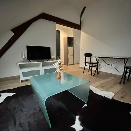 Apartment Cosy Mansarde Gare 1km Animaux Acceptes Dijon