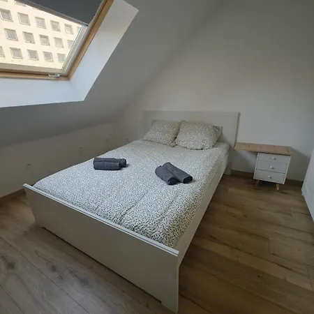 Cosy Mansarde Gare 1km Animaux Acceptes *