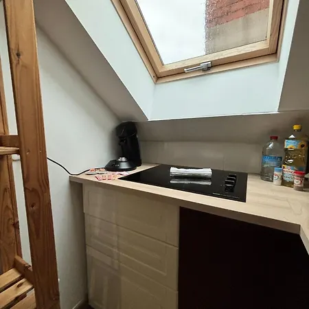 Cosy Mansarde Gare 1km Animaux Acceptes Apartment Dijon