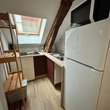 Cosy Mansarde Gare 1km Animaux Acceptes Dijon
