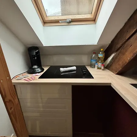 Apartment Cosy Mansarde Gare 1km Animaux Acceptes