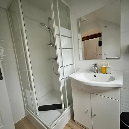 Cosy Mansarde Gare 1km Animaux Acceptes Apartment *