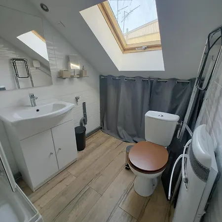 Cosy Mansarde Gare 1km Animaux Acceptes Apartment Dijon