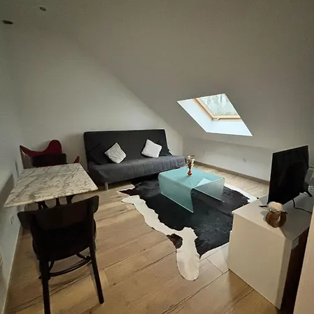 Apartment Cosy Mansarde Gare 1km Animaux Acceptes Dijon