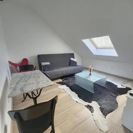 Cosy Mansarde Gare 1km Animaux Acceptes Apartment Dijon
