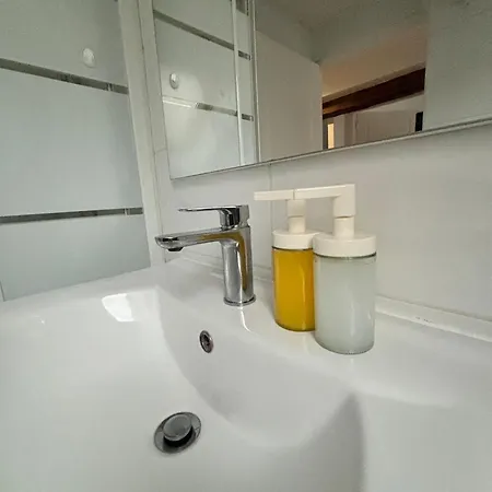 Apartment Cosy Mansarde Gare 1km Animaux Acceptes *