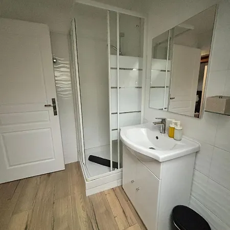 Cosy Mansarde Gare 1km Animaux Acceptes * Dijon