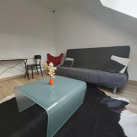 Cosy Mansarde Gare 1km Animaux Acceptes Dijon