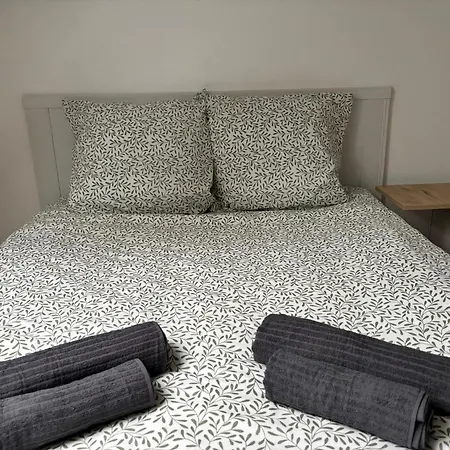 Cosy Mansarde Gare 1km Animaux Acceptes *