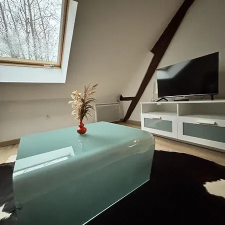 Apartmán Cosy Mansarde Gare 1km Animaux Acceptes *